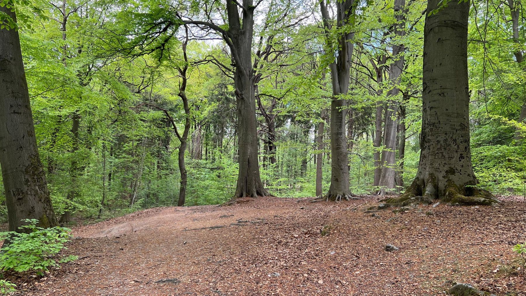 Pronájem bytu 3+1 92 m², Brühlstr. 27b, Wassenberg, Severní Porýní-Vestfálsko Pronájem bytu 3+1 92 m², Brühlstr. 27b, Wassenberg, Severní Porýní-Vestfálsko
