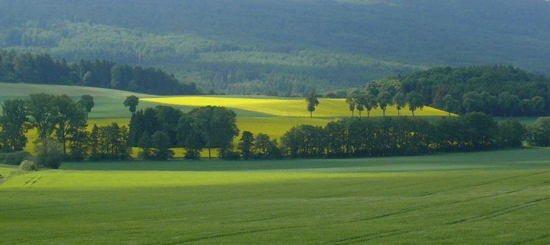 Prodej domu 400 m², pozemek 1.041 m², Bad Wildungen, Hessen Prodej domu 400 m², pozemek 1.041 m², Bad Wildungen, Hessen