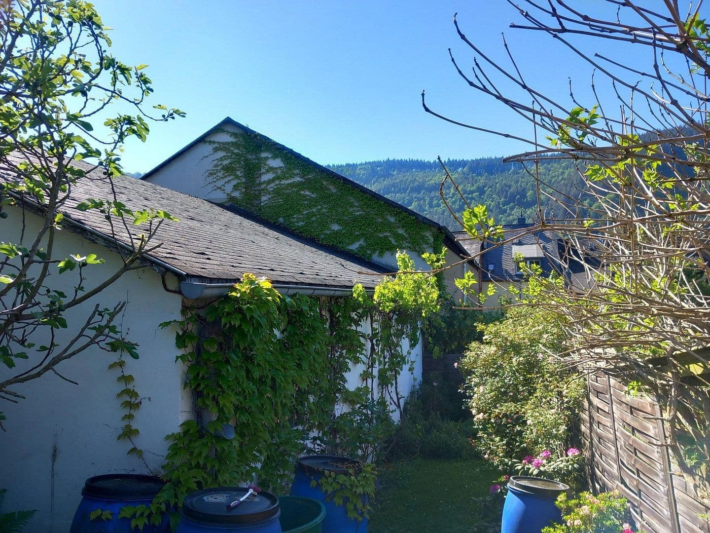 Prodej domu 255 m², pozemek 1.374 m², Traben-Trarbach, Porýní-Falc Prodej domu 255 m², pozemek 1.374 m², Traben-Trarbach, Porýní-Falc
