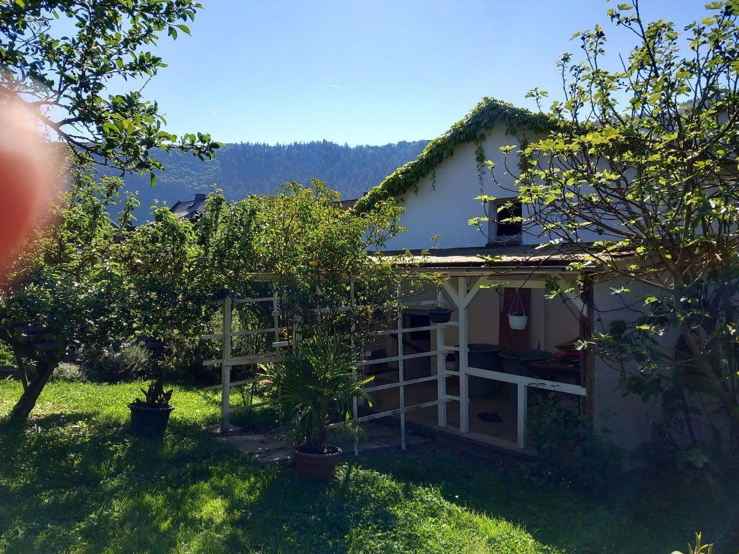 Prodej domu 255 m², pozemek 1.374 m², Traben-Trarbach, Porýní-Falc Prodej domu 255 m², pozemek 1.374 m², Traben-Trarbach, Porýní-Falc