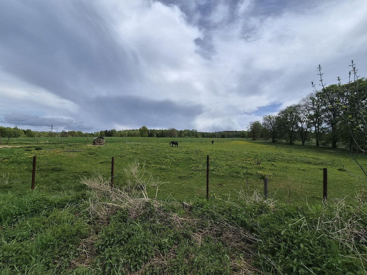 Prodej pozemku 7.395.669 m², Marktredwitz, Bavorsko Prodej pozemku 7.395.669 m², Marktredwitz, Bavorsko