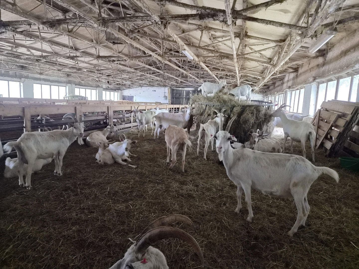 Prodej pozemku 7.395.669 m², Marktredwitz, Bavorsko Prodej pozemku 7.395.669 m², Marktredwitz, Bavorsko