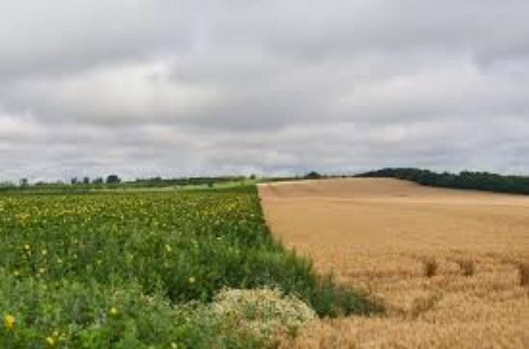 Prodej pozemku 7.395.669 m², Marktredwitz, Bavorsko Prodej pozemku 7.395.669 m², Marktredwitz, Bavorsko