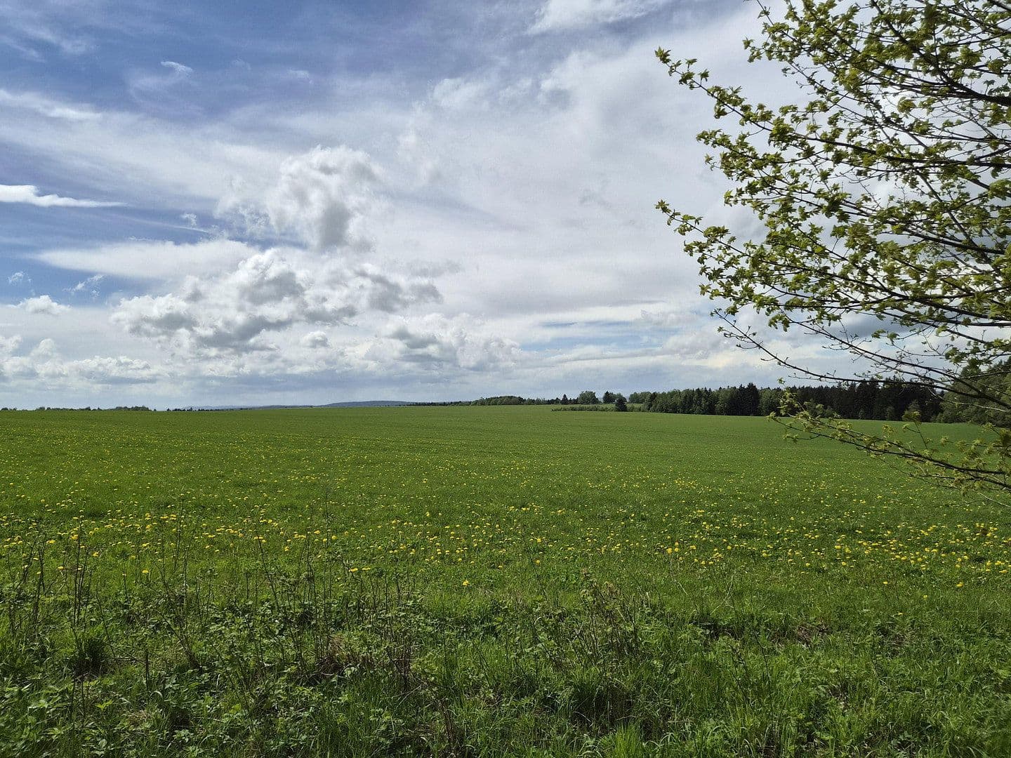 Prodej pozemku 7.395.669 m², Marktredwitz, Bavorsko Prodej pozemku 7.395.669 m², Marktredwitz, Bavorsko