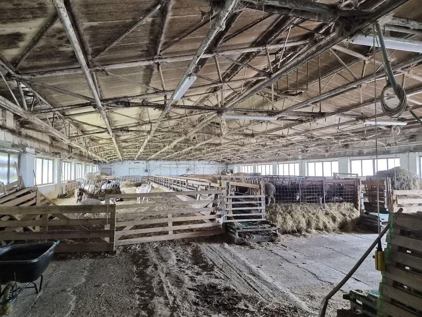 Prodej pozemku 7.395.669 m², Marktredwitz, Bavorsko Prodej pozemku 7.395.669 m², Marktredwitz, Bavorsko