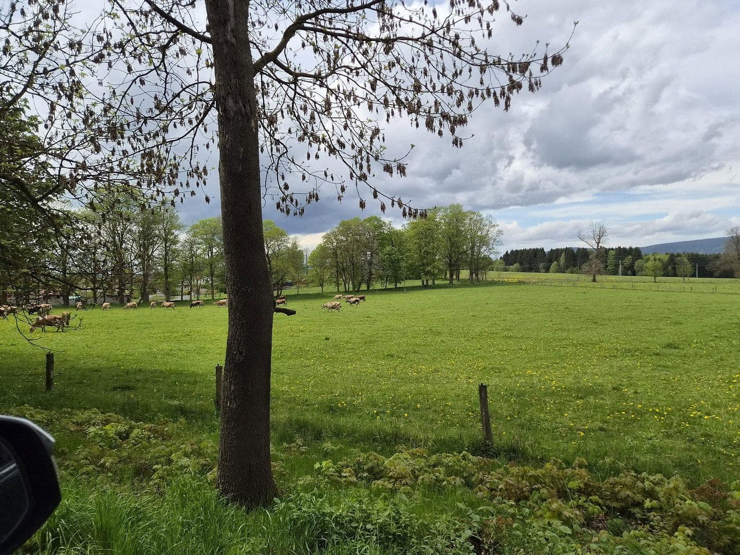 Prodej pozemku 7.395.669 m², Marktredwitz, Bavorsko Prodej pozemku 7.395.669 m², Marktredwitz, Bavorsko