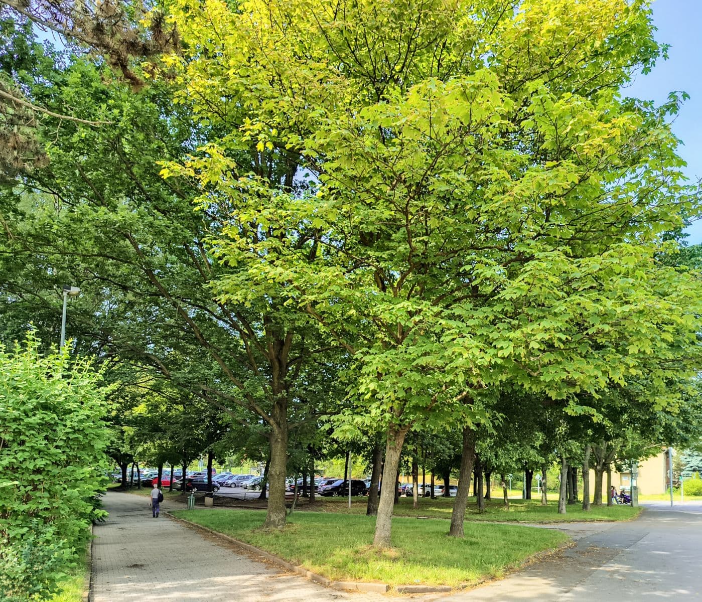 Pronájem bytu 2+kk 40 m², Štúrova, Praha, Praha Pronájem bytu 2+kk 40 m², Štúrova, Praha, Praha