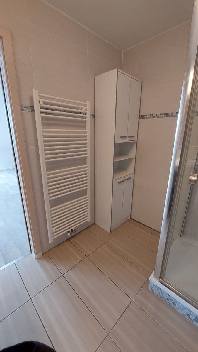 Pronájem bytu 1+kk 42 m², Kotlářská, Brno, Jihomoravský kraj Pronájem bytu 1+kk 42 m², Kotlářská, Brno, Jihomoravský kraj