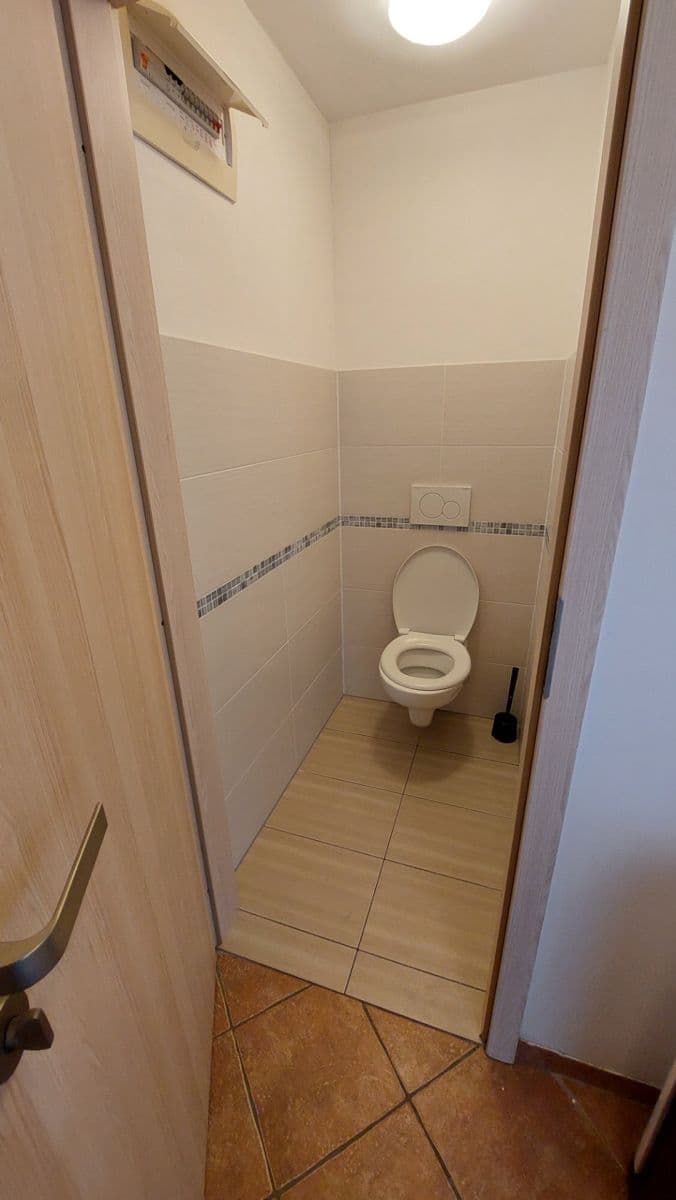Pronájem bytu 1+kk 42 m², Kotlářská, Brno, Jihomoravský kraj Pronájem bytu 1+kk 42 m², Kotlářská, Brno, Jihomoravský kraj
