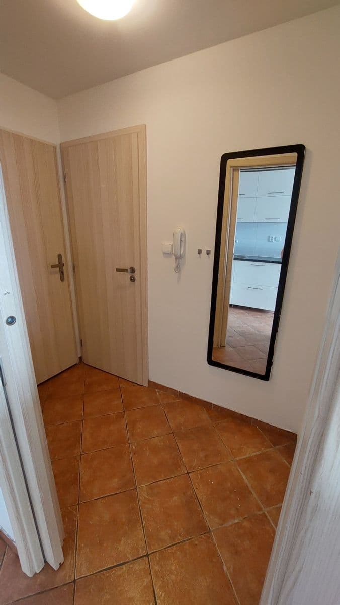 Pronájem bytu 1+kk 42 m², Kotlářská, Brno, Jihomoravský kraj Pronájem bytu 1+kk 42 m², Kotlářská, Brno, Jihomoravský kraj