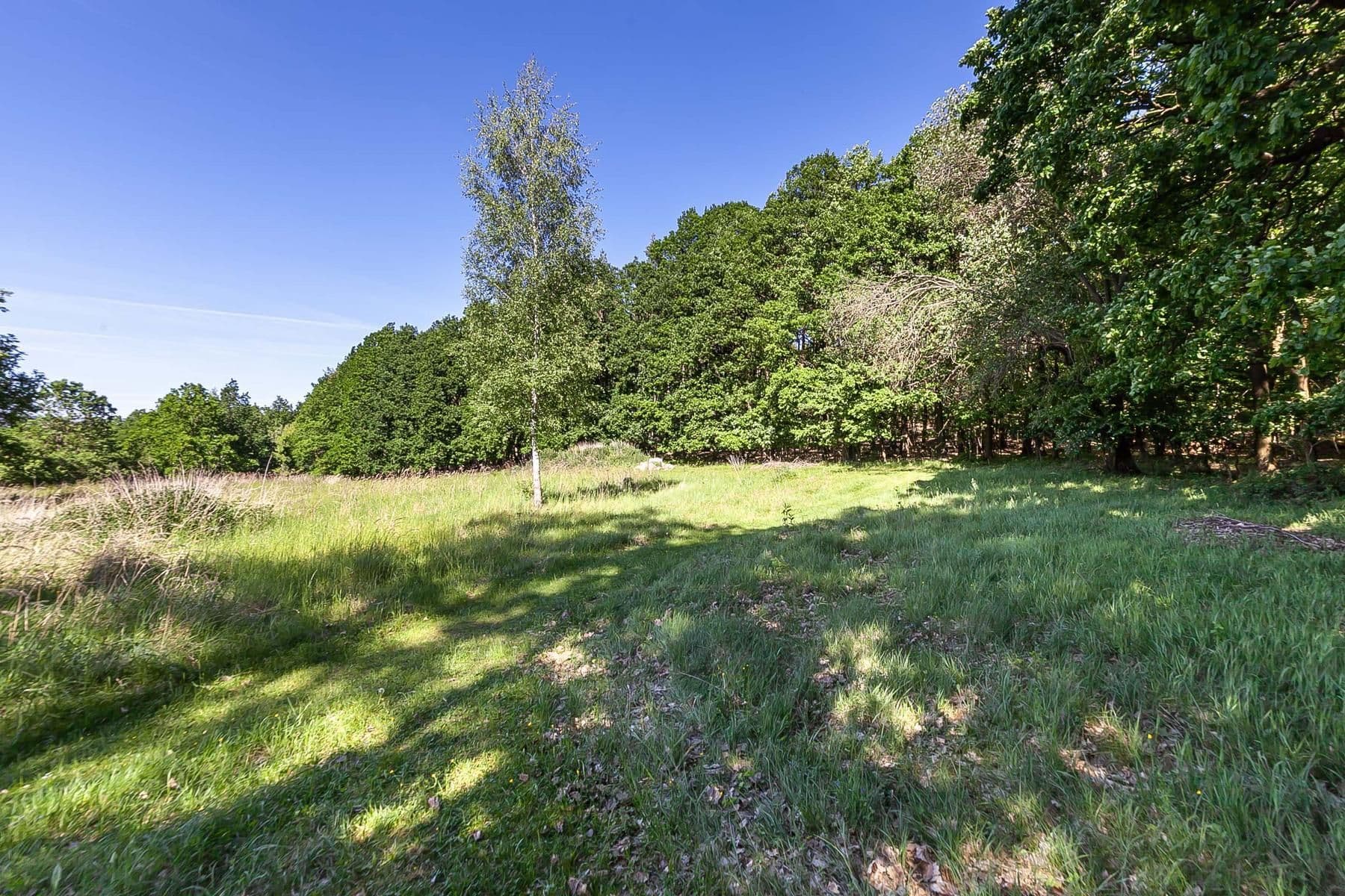 Prodej pozemku 4.612 m², Hluboš, Středočeský kraj Prodej pozemku 4.612 m², Hluboš, Středočeský kraj
