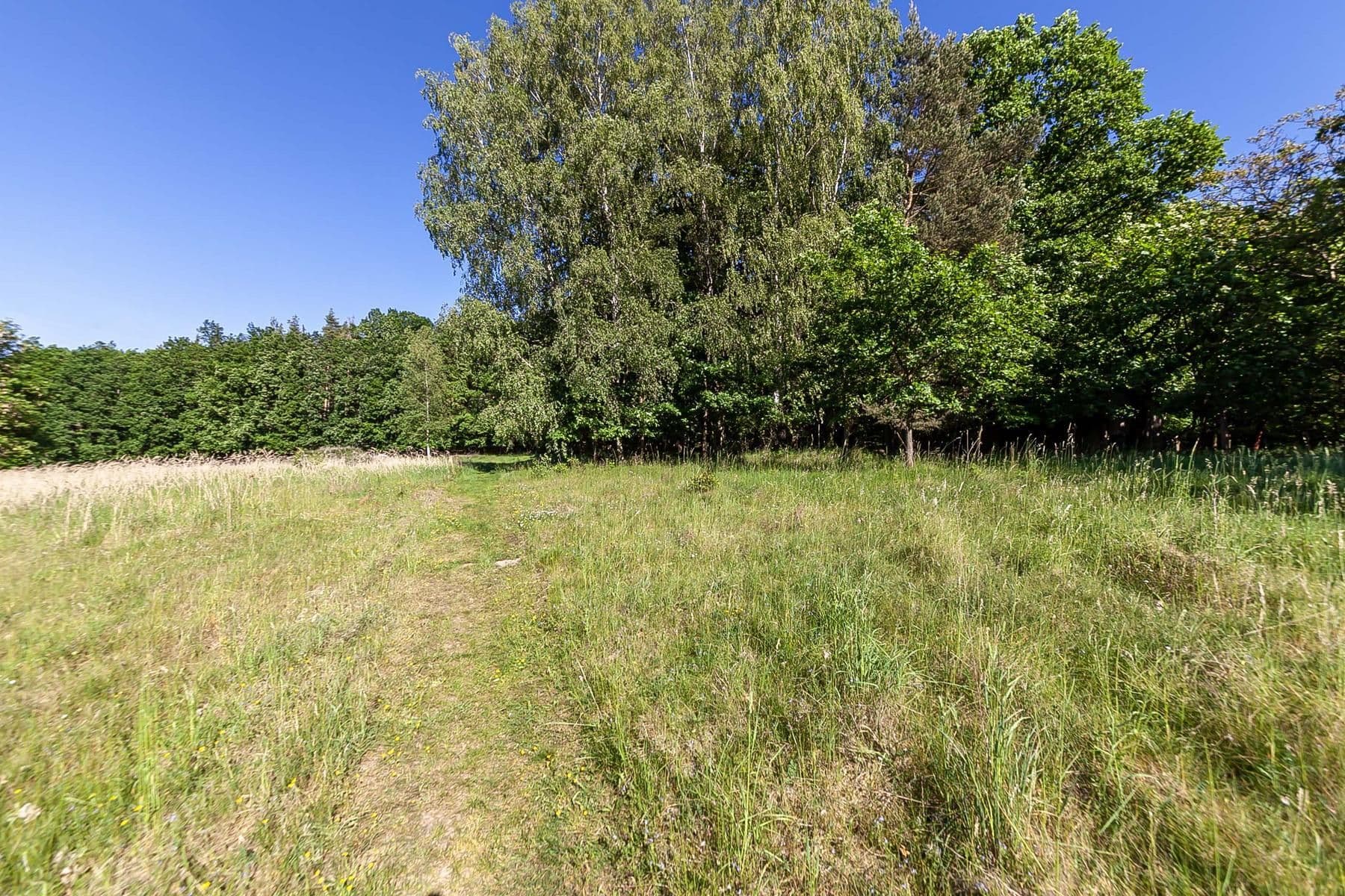 Prodej pozemku 4.612 m², Hluboš, Středočeský kraj Prodej pozemku 4.612 m², Hluboš, Středočeský kraj