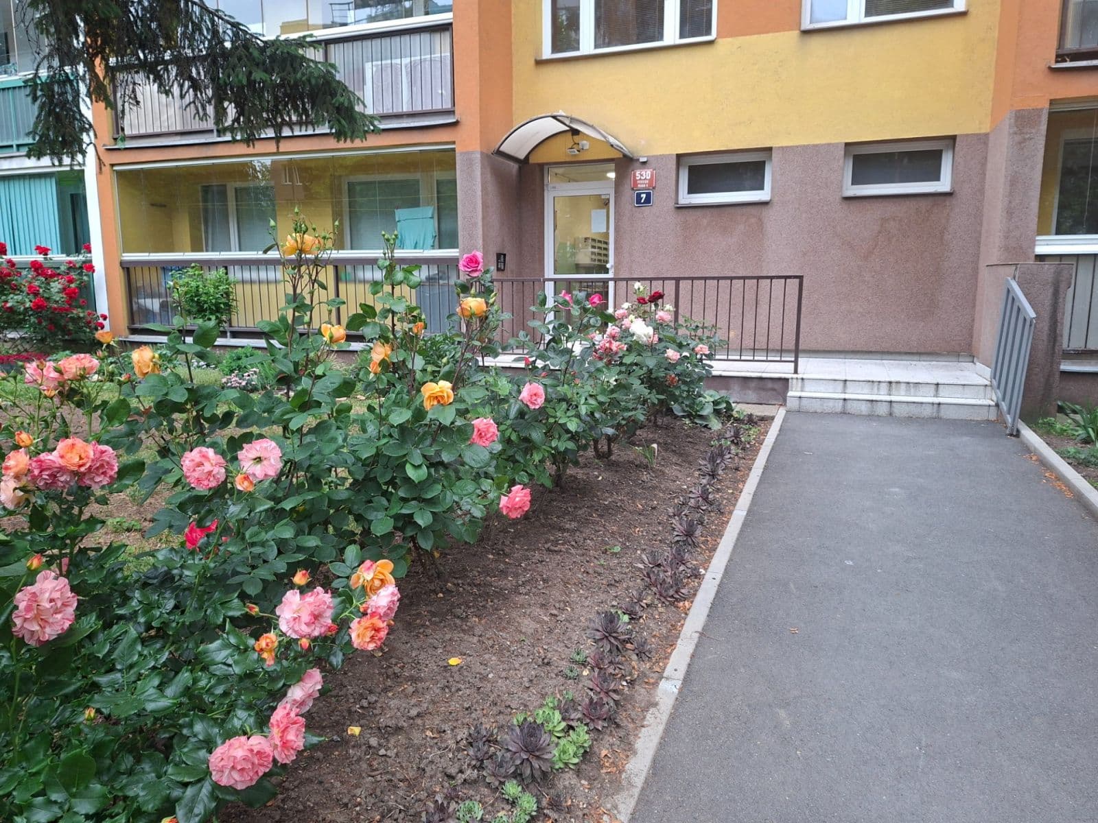Prodej bytu 3+kk 60 m², Veltruská, Praha, Praha Prodej bytu 3+kk 60 m², Veltruská, Praha, Praha