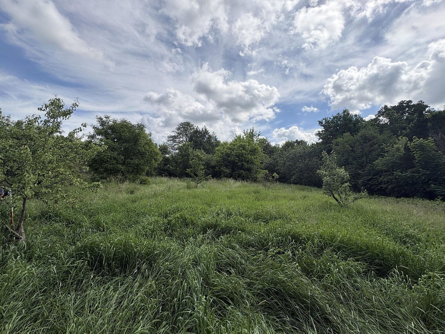 Prodej pozemku 4.340 m², Biesenthal, Braniborsko Prodej pozemku 4.340 m², Biesenthal, Braniborsko