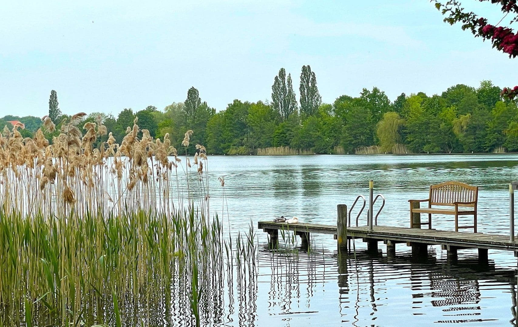 Prodej bytu 2+1 65 m², Neuruppin, Braniborsko Prodej bytu 2+1 65 m², Neuruppin, Braniborsko