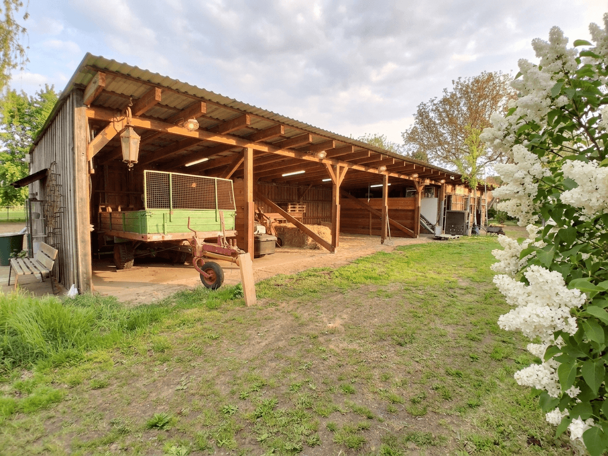 Prodej domu 170 m², pozemek 11.132 m², Kloster Lehnin, Braniborsko Prodej domu 170 m², pozemek 11.132 m², Kloster Lehnin, Braniborsko