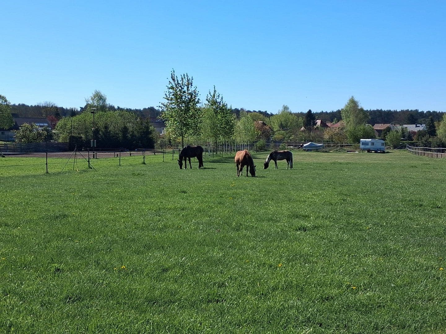 Prodej domu 170 m², pozemek 11.132 m², Kloster Lehnin, Braniborsko Prodej domu 170 m², pozemek 11.132 m², Kloster Lehnin, Braniborsko