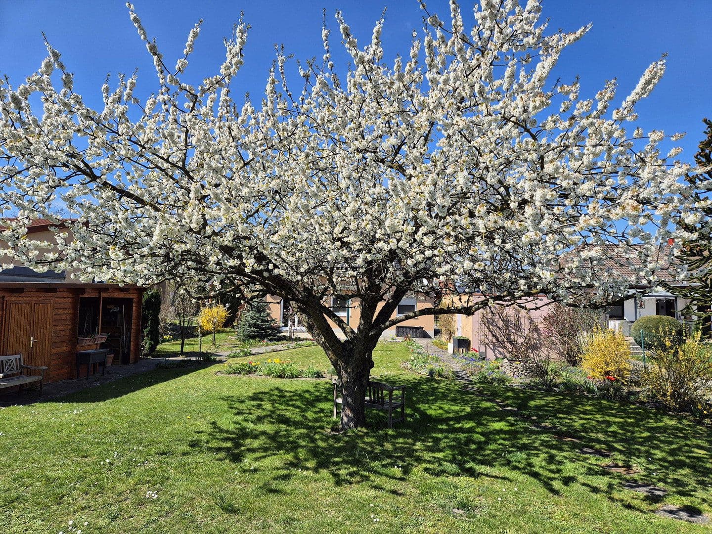 Prodej domu 125 m², pozemek 892 m², Wustermark, Braniborsko Prodej domu 125 m², pozemek 892 m², Wustermark, Braniborsko