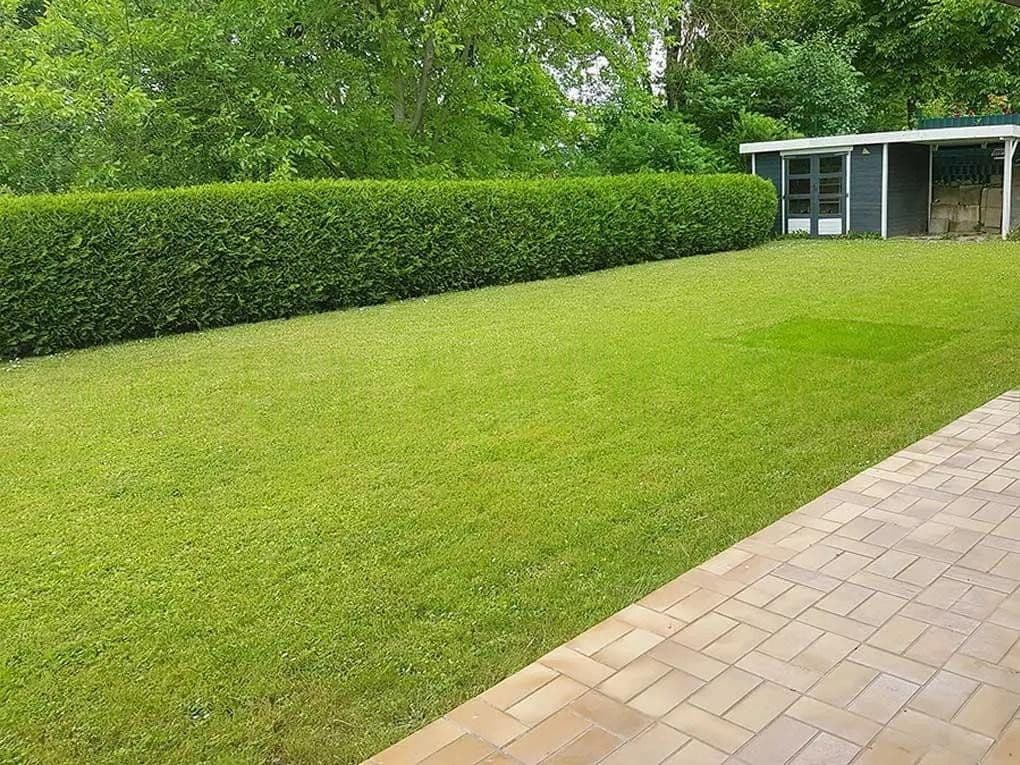 Pronájem bytu 3+1 125 m², Sinsheim, Bádensko-Württembersko Pronájem bytu 3+1 125 m², Sinsheim, Bádensko-Württembersko