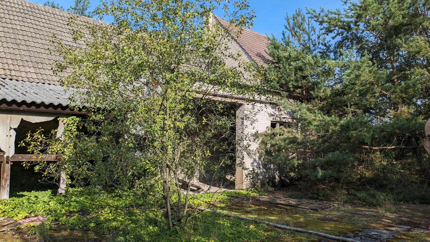 Prodej pozemku 29.279 m², Oelsig 57, Schlieben, Braniborsko Prodej pozemku 29.279 m², Oelsig 57, Schlieben, Braniborsko