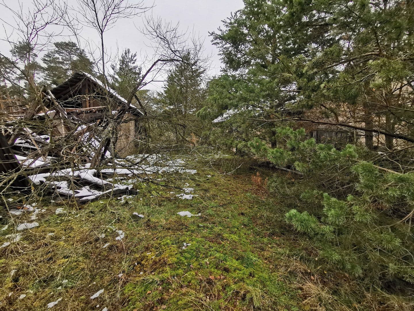 Prodej pozemku 29.279 m², Oelsig 57, Schlieben, Braniborsko Prodej pozemku 29.279 m², Oelsig 57, Schlieben, Braniborsko