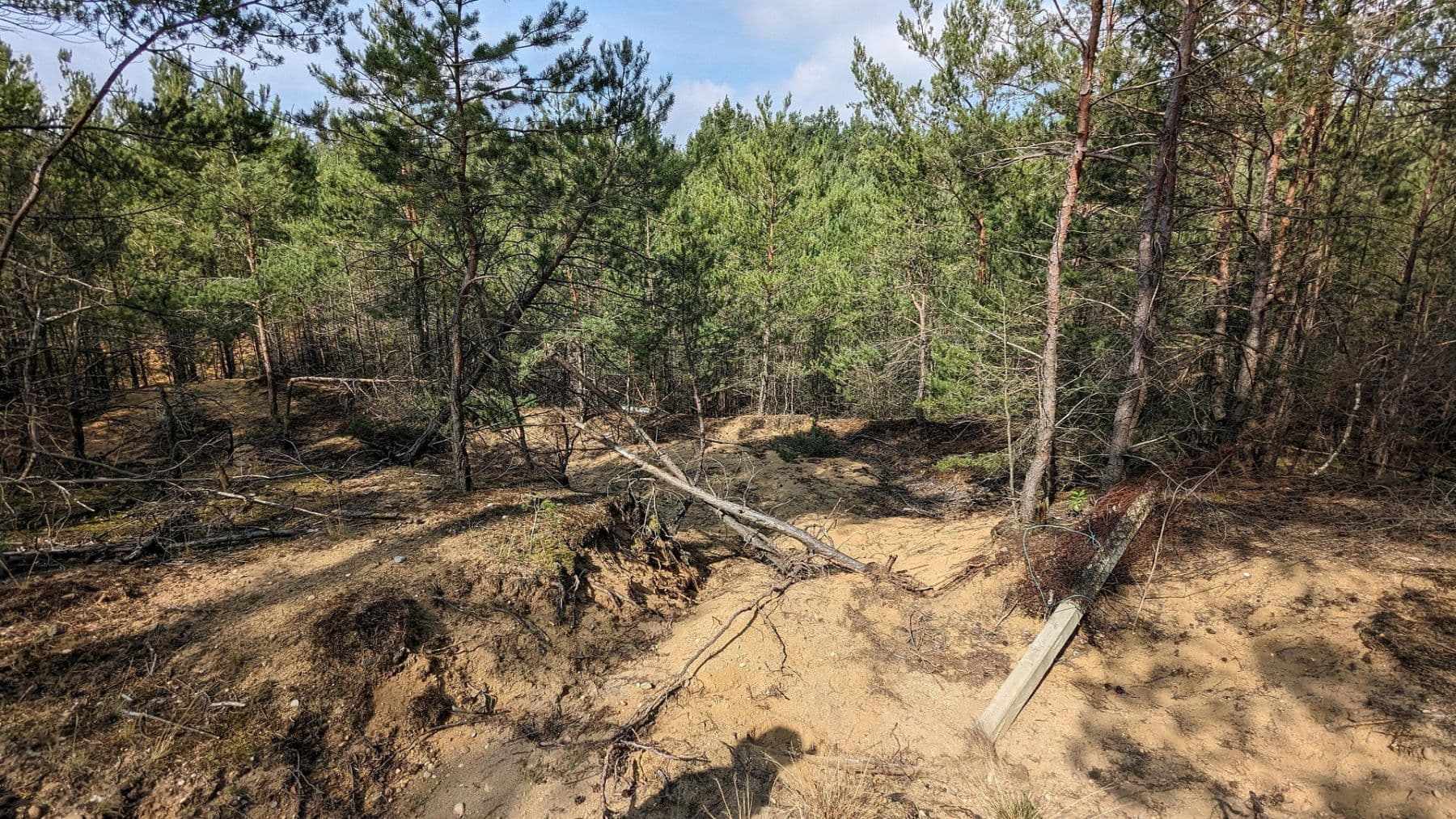 Prodej pozemku 29.279 m², Oelsig 57, Schlieben, Braniborsko Prodej pozemku 29.279 m², Oelsig 57, Schlieben, Braniborsko