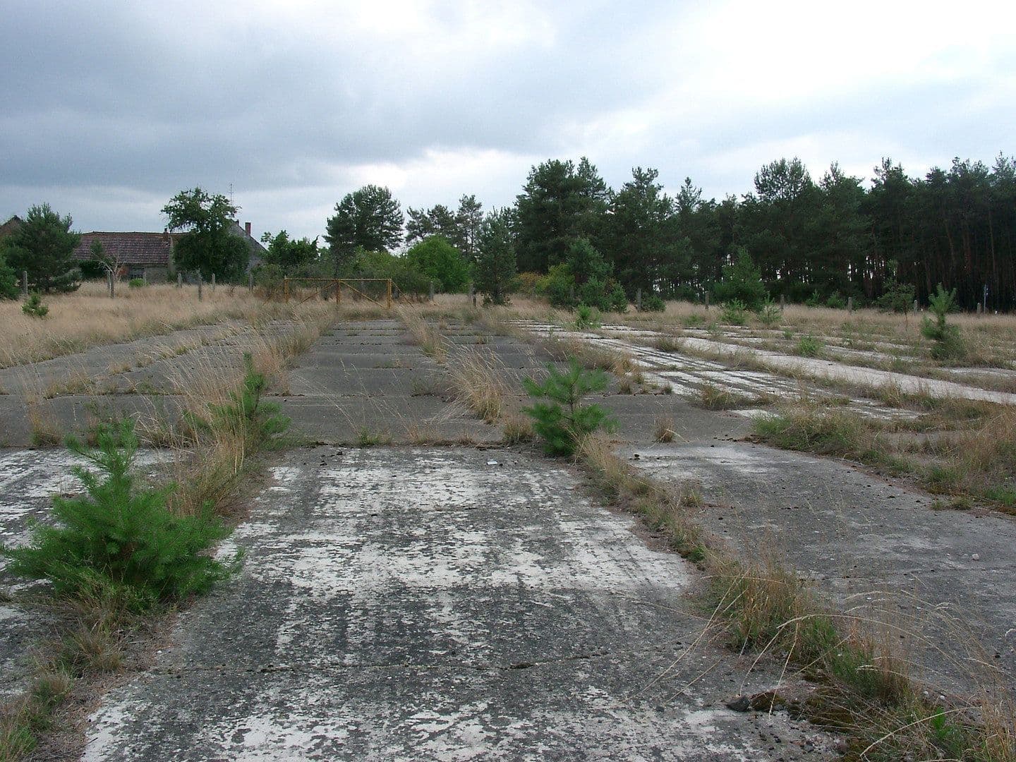Prodej pozemku 29.279 m², Oelsig 57, Schlieben, Braniborsko Prodej pozemku 29.279 m², Oelsig 57, Schlieben, Braniborsko