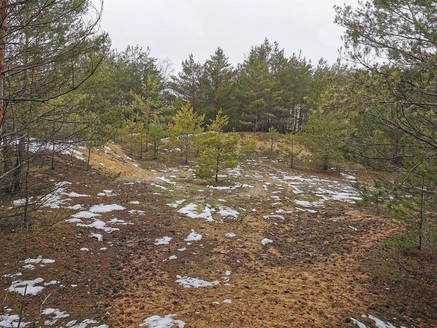 Prodej pozemku 29.279 m², Oelsig 57, Schlieben, Braniborsko Prodej pozemku 29.279 m², Oelsig 57, Schlieben, Braniborsko