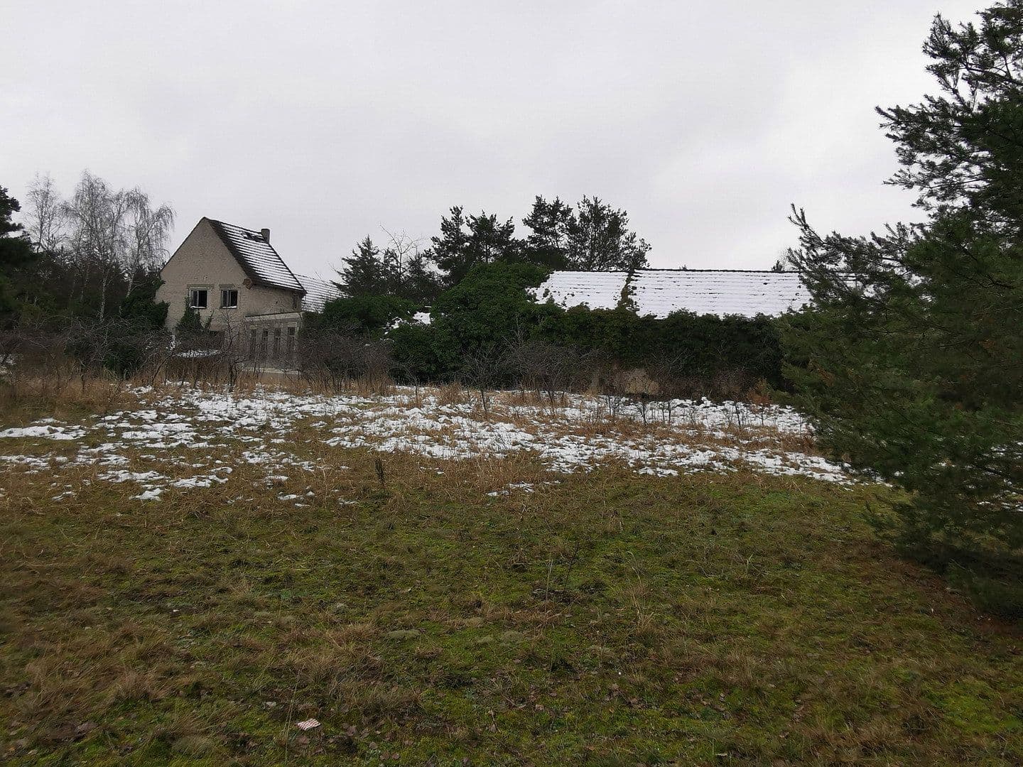 Prodej pozemku 29.279 m², Oelsig 57, Schlieben, Braniborsko Prodej pozemku 29.279 m², Oelsig 57, Schlieben, Braniborsko