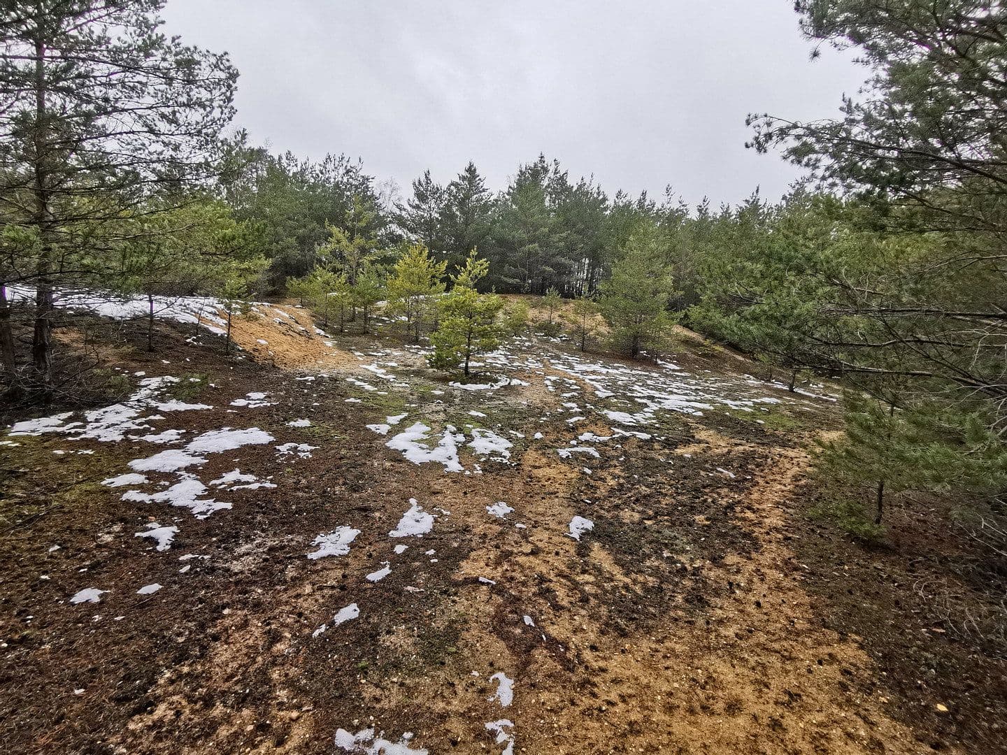 Prodej pozemku 29.279 m², Oelsig 57, Schlieben, Braniborsko Prodej pozemku 29.279 m², Oelsig 57, Schlieben, Braniborsko