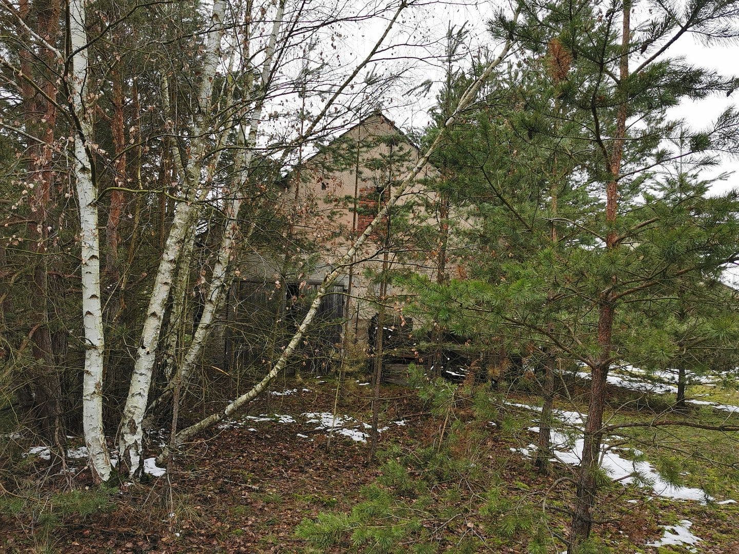Prodej pozemku 29.279 m², Oelsig 57, Schlieben, Braniborsko Prodej pozemku 29.279 m², Oelsig 57, Schlieben, Braniborsko