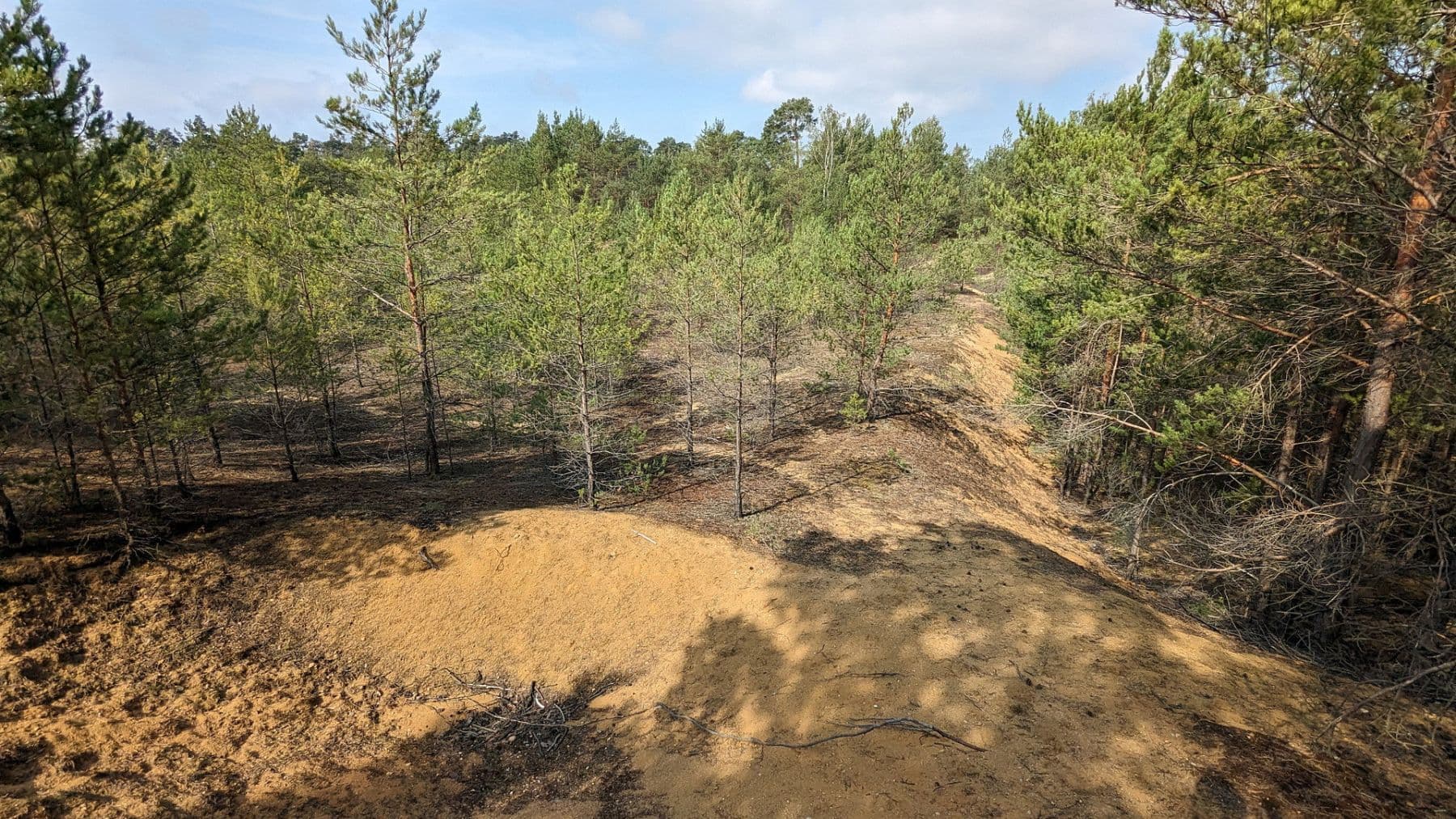 Prodej pozemku 29.279 m², Oelsig 57, Schlieben, Braniborsko Prodej pozemku 29.279 m², Oelsig 57, Schlieben, Braniborsko