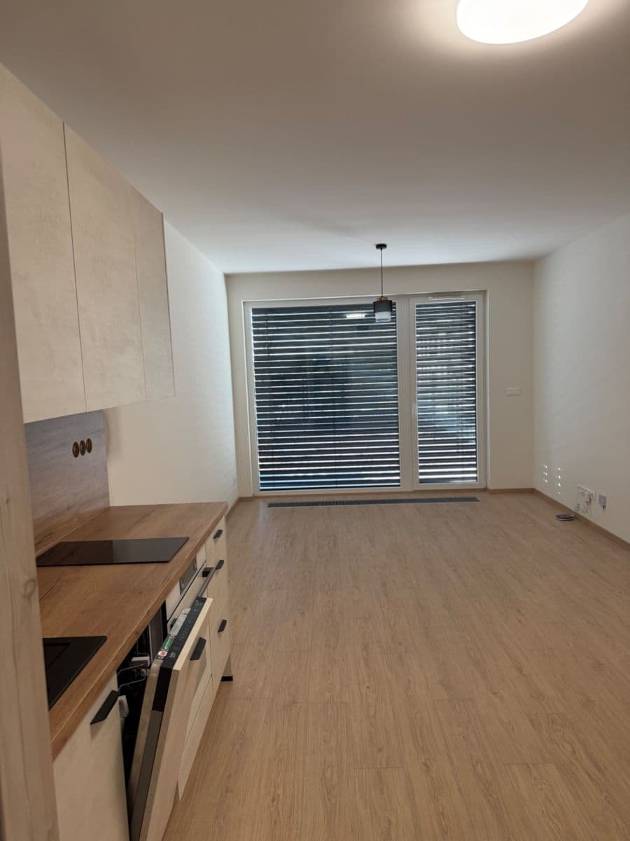 Pronájem bytu 1+kk 32 m², Haenkeho, Praha, Praha Pronájem bytu 1+kk 32 m², Haenkeho, Praha, Praha