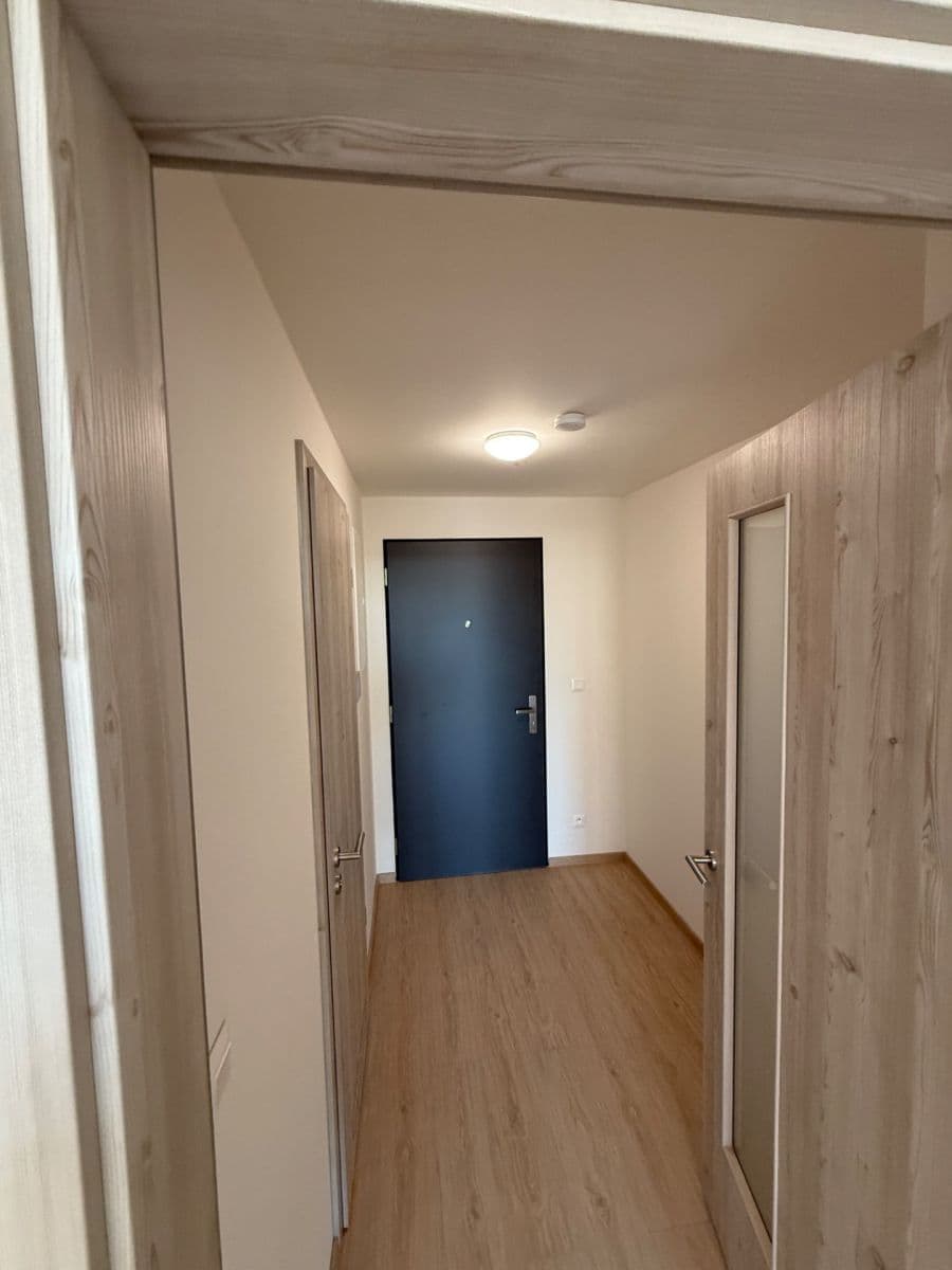 Pronájem bytu 1+kk 32 m², Haenkeho, Praha, Praha Pronájem bytu 1+kk 32 m², Haenkeho, Praha, Praha