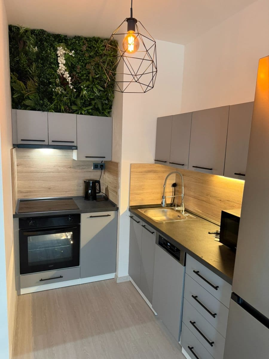 Pronájem bytu 2+kk 42 m², Thomasova, Praha, Praha Pronájem bytu 2+kk 42 m², Thomasova, Praha, Praha