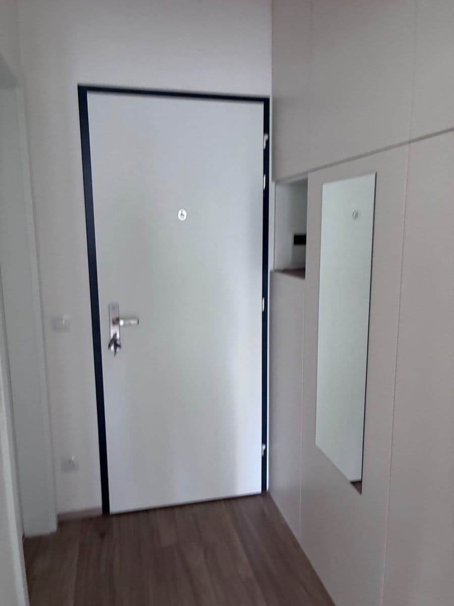 Pronájem bytu 1+kk 40 m², Hartigova, Praha, Praha Pronájem bytu 1+kk 40 m², Hartigova, Praha, Praha