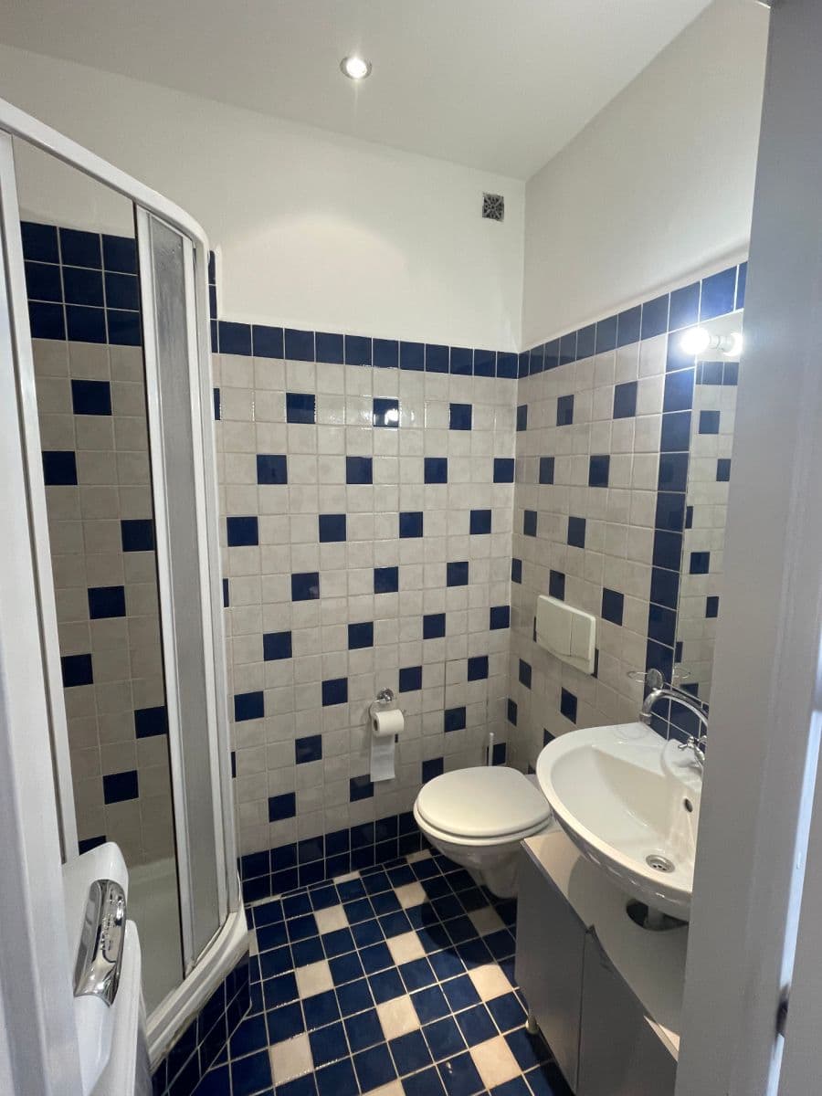 Pronájem bytu 1+kk 30 m², Haštalská, Praha, Praha Pronájem bytu 1+kk 30 m², Haštalská, Praha, Praha