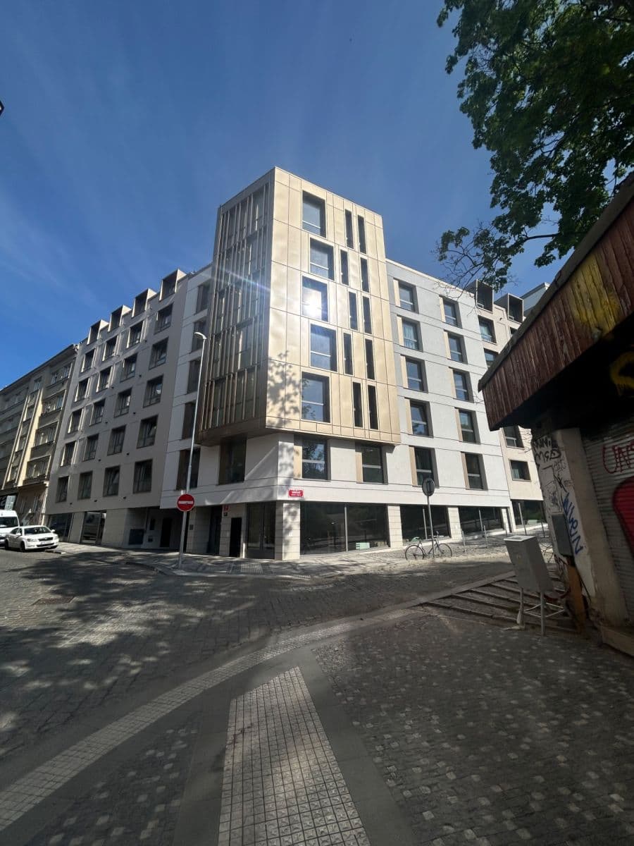 Pronájem bytu 1+kk 25 m², Krymská, Praha, Praha Pronájem bytu 1+kk 25 m², Krymská, Praha, Praha