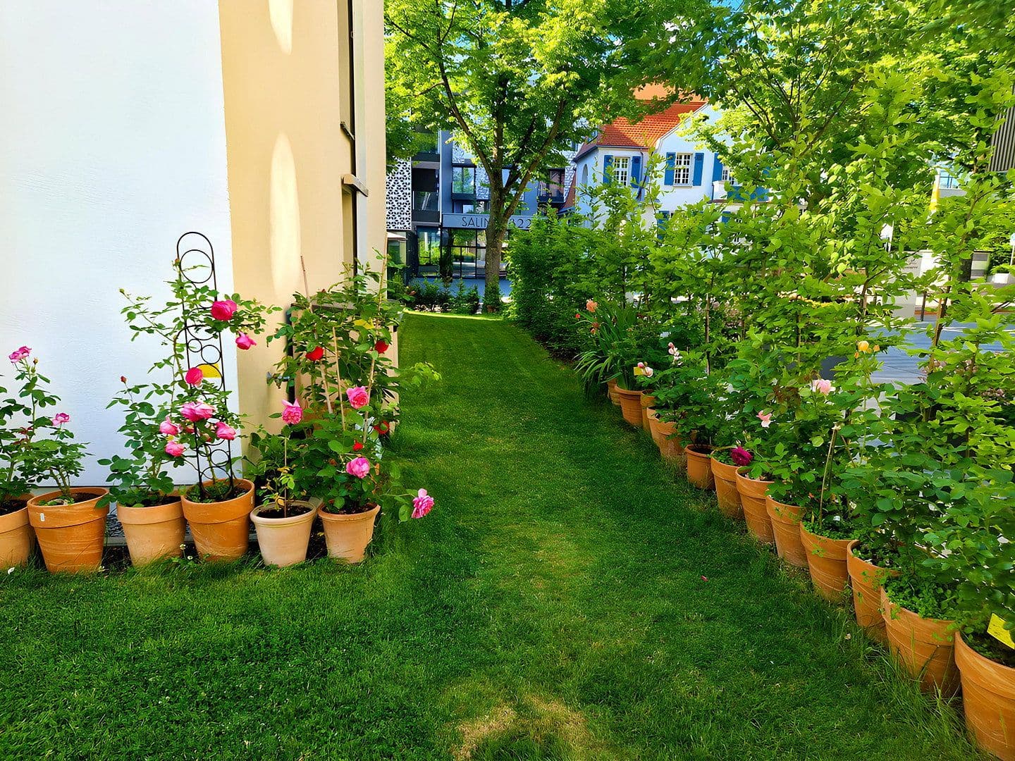 Pronájem bytu 4+1 123 m², Salinenstraße 14, Bad Rappenau, Bádensko-Württembersko Pronájem bytu 4+1 123 m², Salinenstraße 14, Bad Rappenau, Bádensko-Württembersko