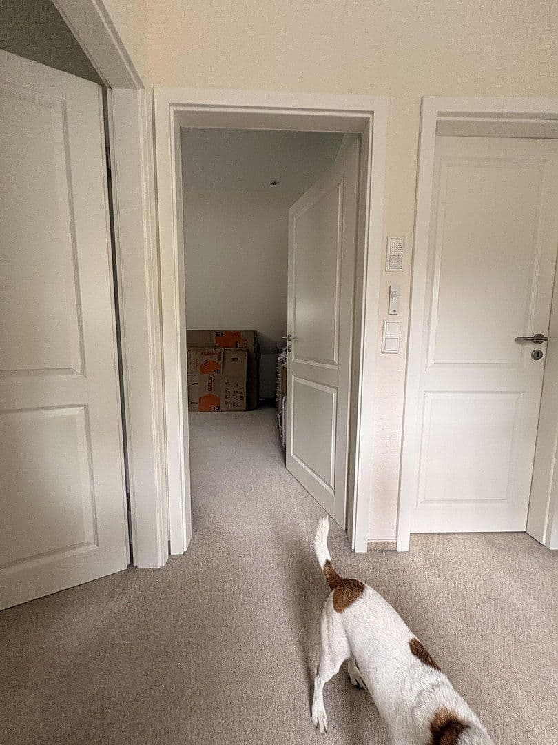 Pronájem domu 120 m², pozemek 845 m², Müssenweg 43a, Dassendorf, Šlesvicko-Holštýnsko Pronájem domu 120 m², pozemek 845 m², Müssenweg 43a, Dassendorf, Šlesvicko-Holštýnsko