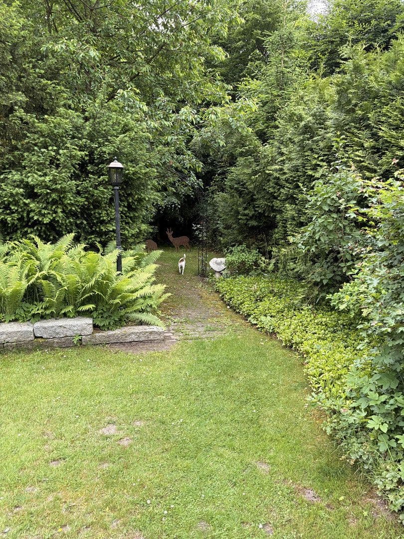 Pronájem domu 120 m², pozemek 845 m², Müssenweg 43a, Dassendorf, Šlesvicko-Holštýnsko Pronájem domu 120 m², pozemek 845 m², Müssenweg 43a, Dassendorf, Šlesvicko-Holštýnsko