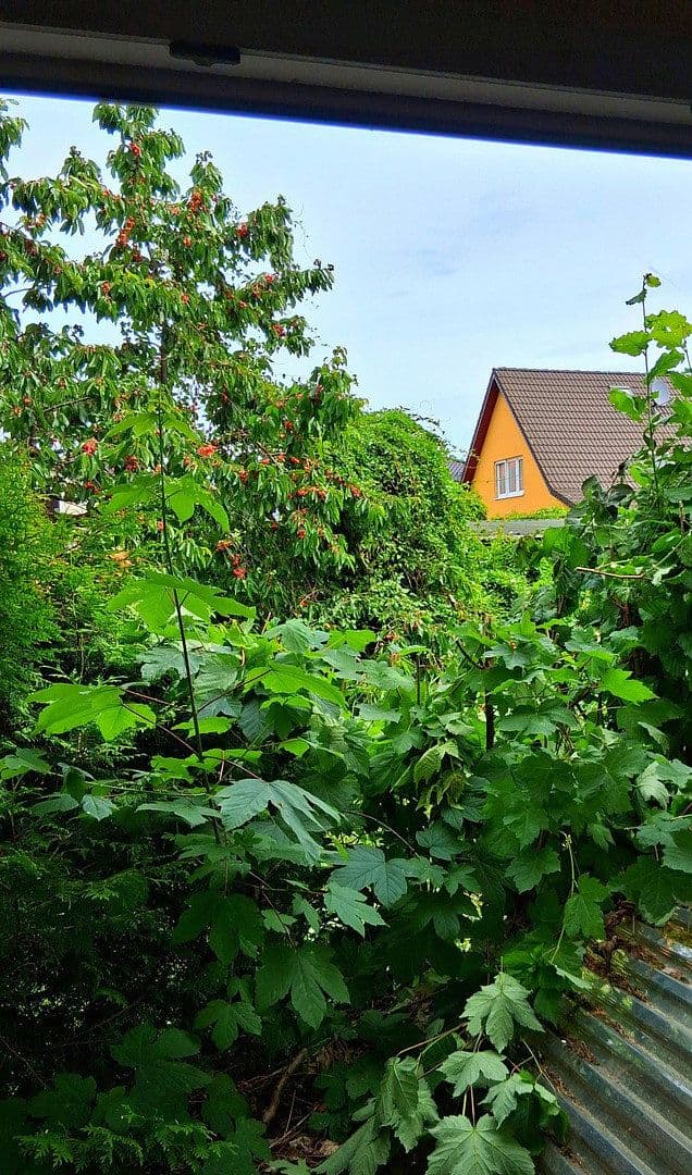 Prodej domu 100 m², pozemek 838 m², Berlin Mahlsdorf, Berlín Prodej domu 100 m², pozemek 838 m², Berlin Mahlsdorf, Berlín