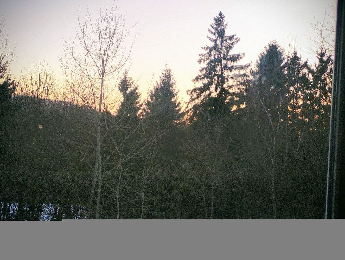 Prodej domu 100 m², pozemek 2.829 m², Fürstenstein, Bavorsko Prodej domu 100 m², pozemek 2.829 m², Fürstenstein, Bavorsko
