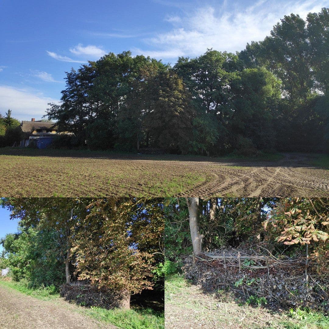 Prodej domu 150 m², pozemek 1.573 m², Zierow, Mecklenburg-Vorpommern Prodej domu 150 m², pozemek 1.573 m², Zierow, Mecklenburg-Vorpommern