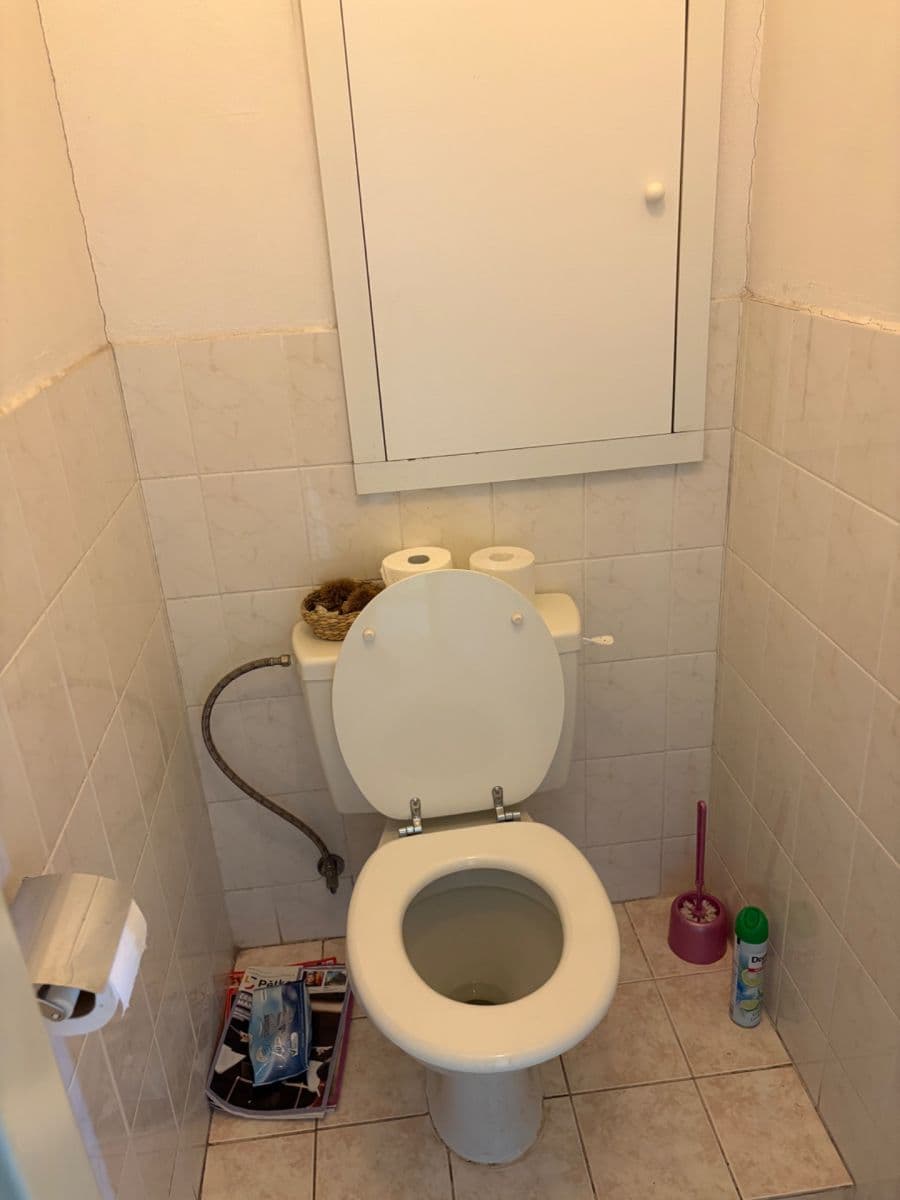 Pronájem bytu 4+1 97 m², Renoirova, Praha, Praha Pronájem bytu 4+1 97 m², Renoirova, Praha, Praha
