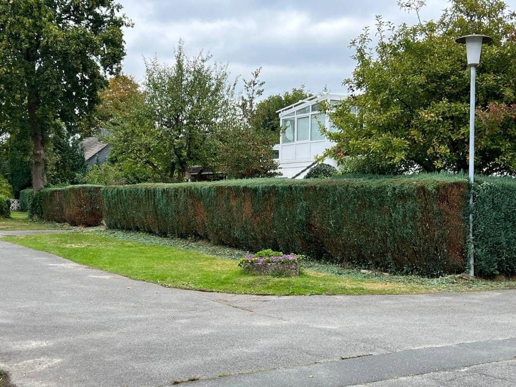Pronájem domu 214 m², pozemek 740 m², Hagen im Bremischen, Dolní Sasko Pronájem domu 214 m², pozemek 740 m², Hagen im Bremischen, Dolní Sasko