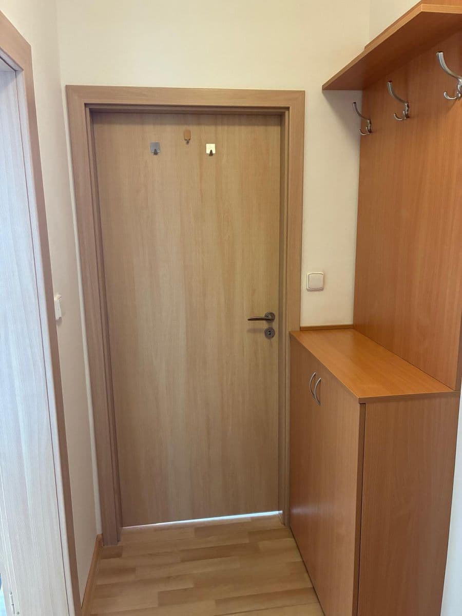 Pronájem bytu 1+1 39 m², Gerská, Plzeň, Plzeňský kraj Pronájem bytu 1+1 39 m², Gerská, Plzeň, Plzeňský kraj