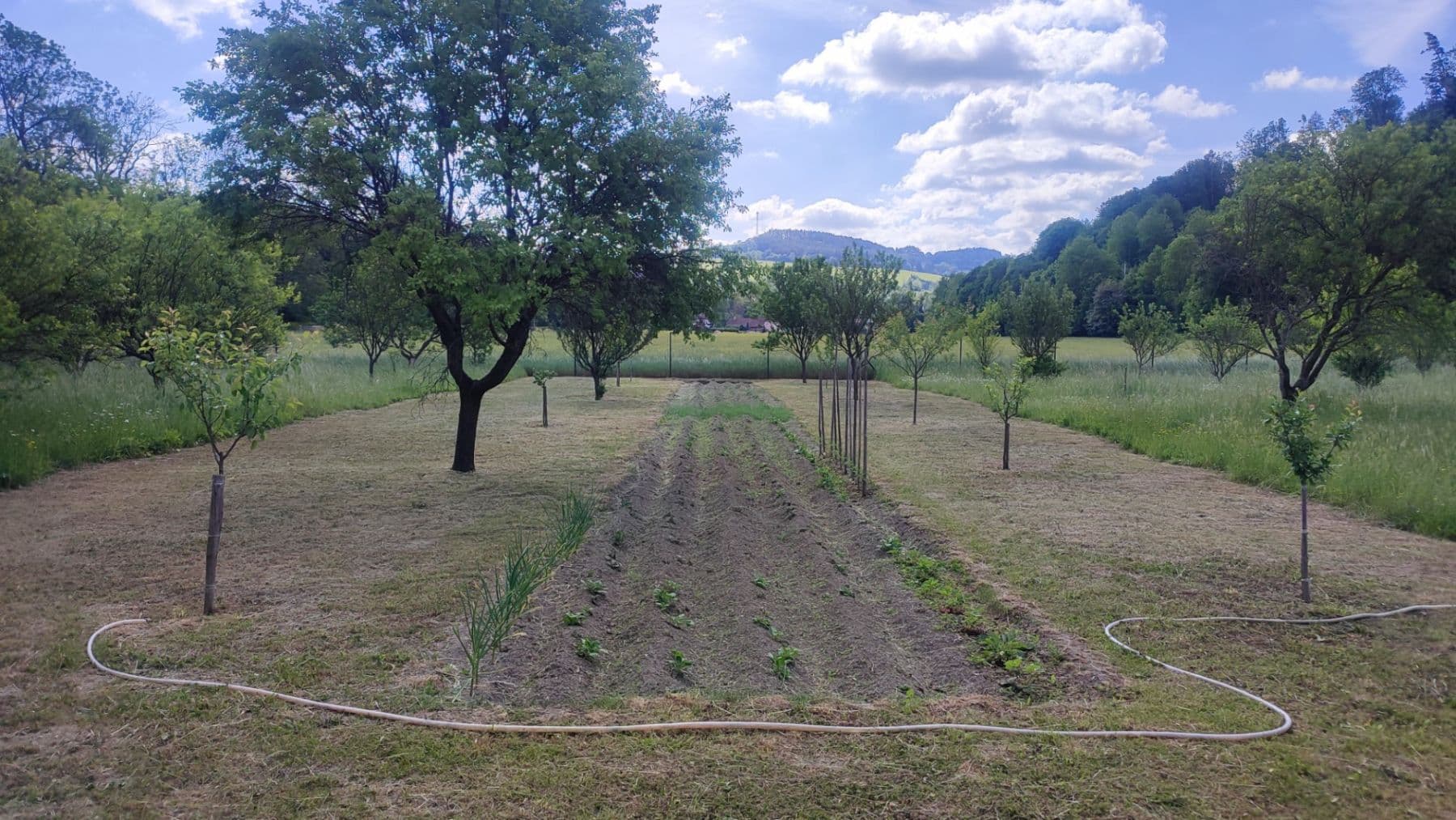 Prodej domu 721 m², pozemek 4.813 m², Lesní, Březová nad Svitavou, Pardubický kraj Prodej domu 721 m², pozemek 4.813 m², Lesní, Březová nad Svitavou, Pardubický kraj