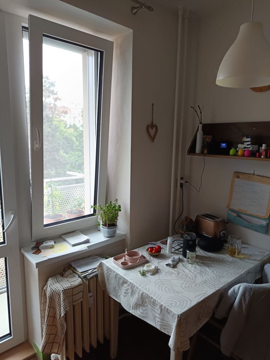 Pronájem bytu 1+1 36 m², Křídlovická, Brno, Jihomoravský kraj Pronájem bytu 1+1 36 m², Křídlovická, Brno, Jihomoravský kraj