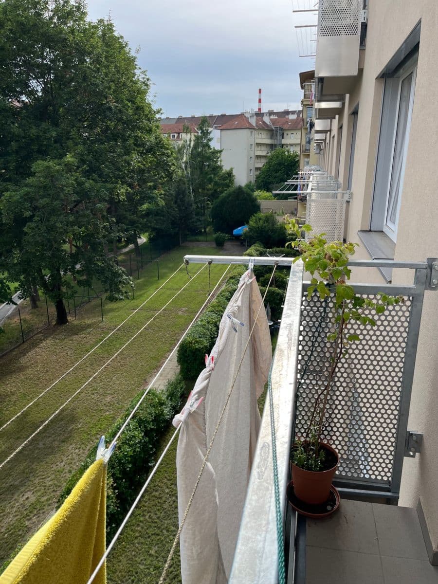 Pronájem bytu 1+1 36 m², Křídlovická, Brno, Jihomoravský kraj Pronájem bytu 1+1 36 m², Křídlovická, Brno, Jihomoravský kraj